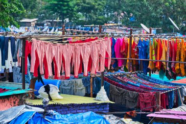 Dhobi Ghat Mumbai, Hindistan 'da çamaşırhanesi olan bir açık hava çamaşırhanesidir.