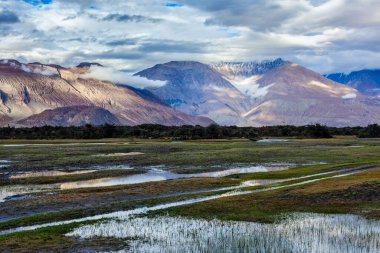 Nubra Vadisi, Ladakh, Hindistan