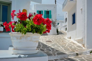 Yunanistan 'ın Paros Adası' ndaki Naousa şehir caddesi