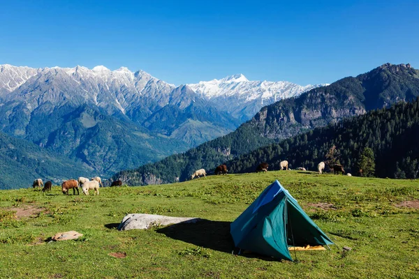 Tábor v horách. Kullu Valley, Himachal Pradesh, Indie — Stock fotografie