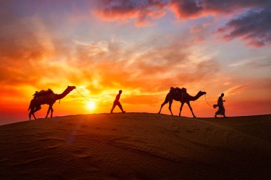 Hintli cameleers deve sürücüsü gün batımında kum tepelerinde deve siluetleriyle. Jaisalmer, Rajasthan, Hindistan