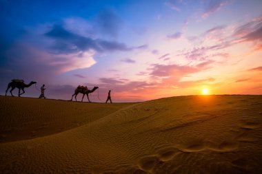 Hintli cameleers deve sürücüsü gün batımında kum tepelerinde deve siluetleriyle. Jaisalmer, Rajasthan, Hindistan