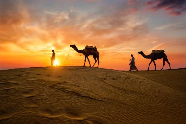 Hintli cameleers deve sürücüsü gün batımında kum tepelerinde deve siluetleriyle. Jaisalmer, Rajasthan, Hindistan