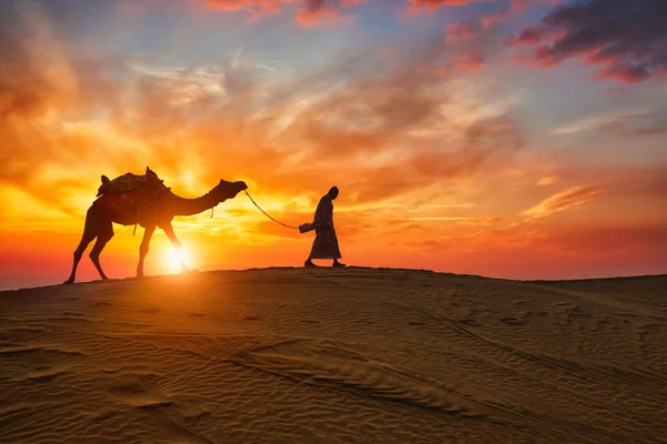 Camaleer indiano motorista de camelo com silhuetas de camelo em dunas ao pôr do sol. Jaisalmer, Rajasthan, Índia — Fotografia de Stock