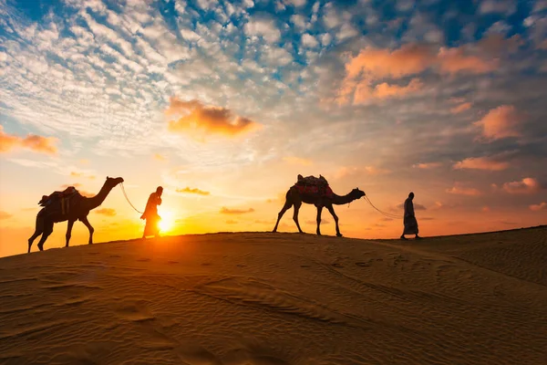Camaleadores indios camello conductor con siluetas de camello en dunas en la puesta del sol. Jaisalmer, Rajastán, India — Foto de Stock