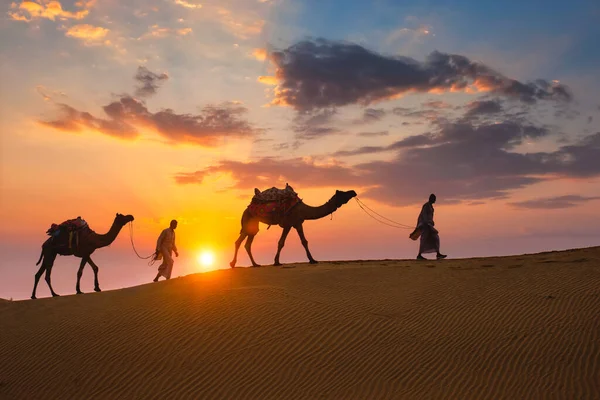Indiska kameler kamelförare med kamel silhuetter i sanddyner vid solnedgången. Jaisalmer, Rajasthan, Indien — Stockfoto