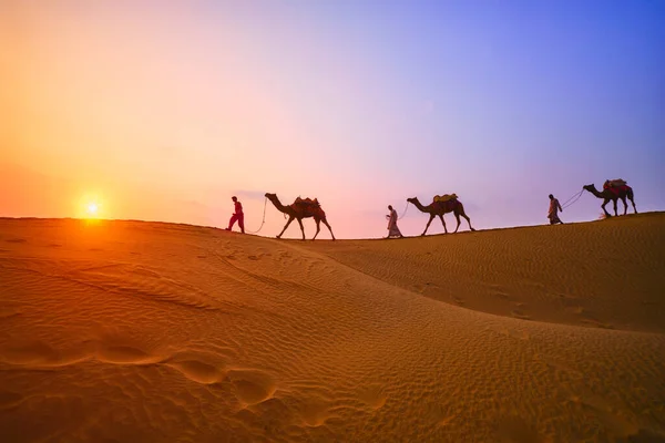 Indyjski kameleon kierowca wielbłąda z wielbłądziej sylwetki na wydmach na zachodzie słońca. Jaisalmer, Rajasthan, Indie — Zdjęcie stockowe