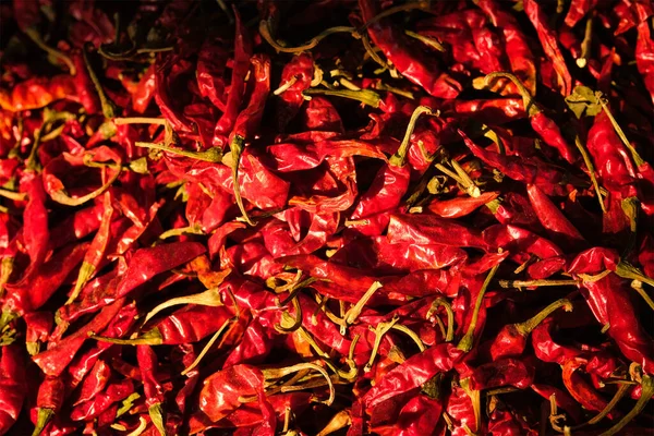 Chiles picantes rojos — Foto de Stock