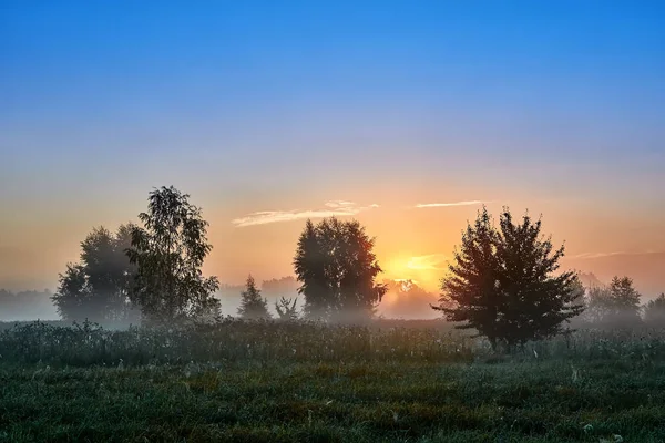 Paisaje Matutino Verano Espesa Niebla —  Fotos de Stock