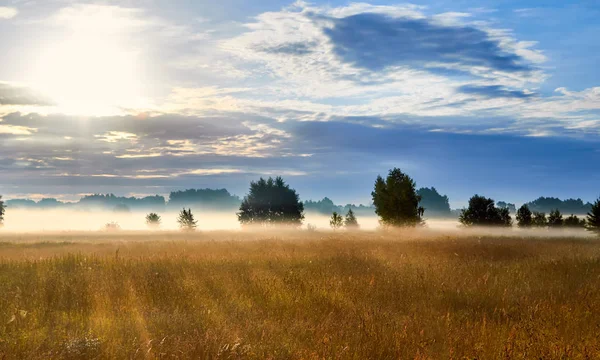Ранковий Пейзаж Літньому Густому Тумані — стокове фото