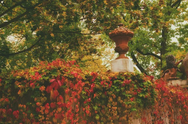 Herbstlich schöner Park — Stockfoto
