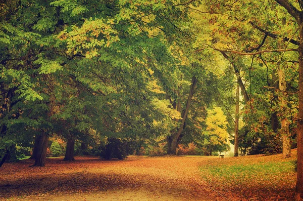 Herbstlich schöner Park — Stockfoto