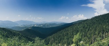 Karpatya dağ manzarası