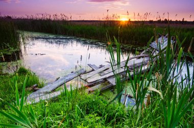 kırsal yaz gündoğumu