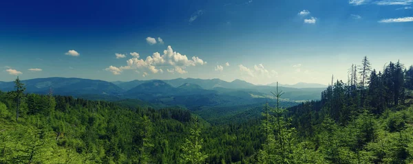 Karpaten berglandschap — Stockfoto