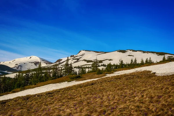 Montañas con nieve —  Fotos de Stock