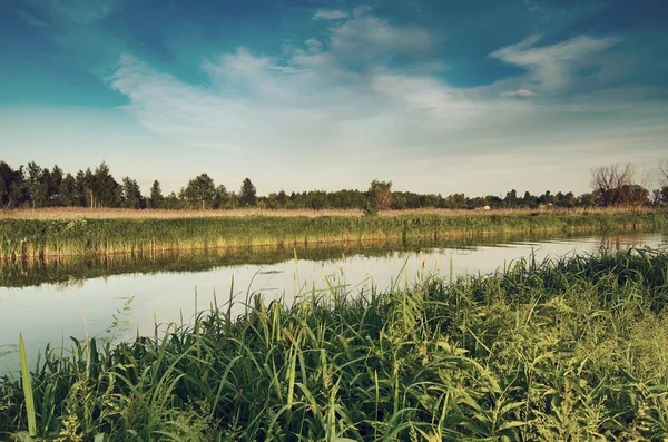 Tramonto estivo rurale — Foto Stock