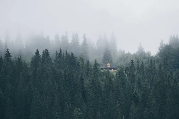 Mały domek na zielonym zboczu góry — Zdjęcie stockowe
