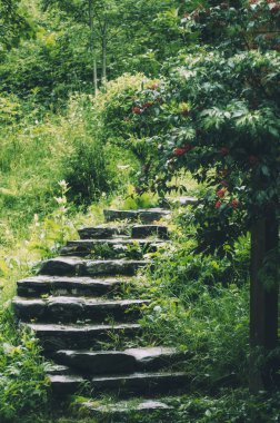 Parktaki merdivenler.