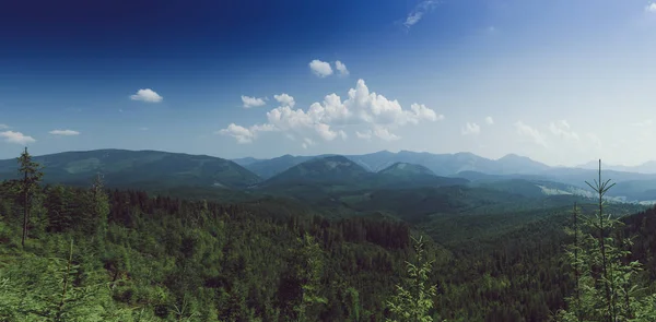 Karpat horská krajina — Stock fotografie