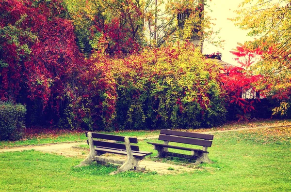 Outono belo parque — Fotografia de Stock