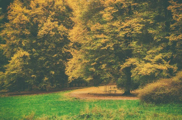 美しい公園の秋 — ストック写真