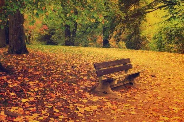 Jesień słoneczny park — Zdjęcie stockowe