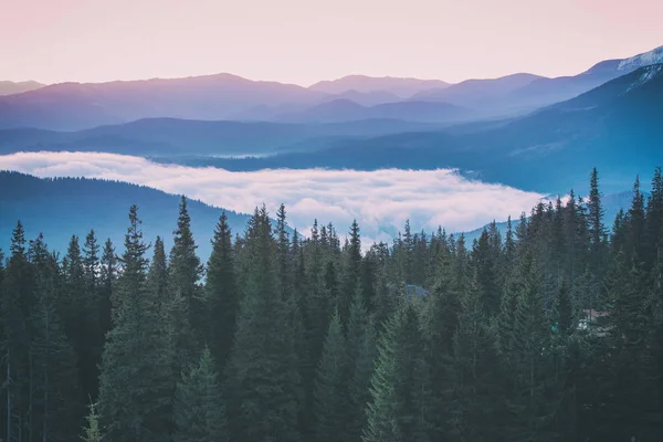 Morgenberglandschaft — Stockfoto