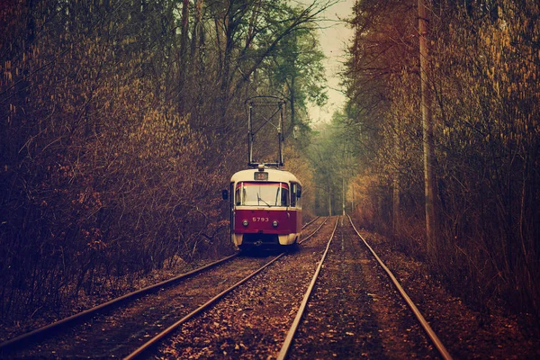 Rote Straßenbahn — Stockfoto