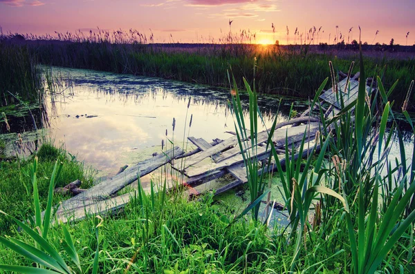 Alba estiva rurale — Foto Stock