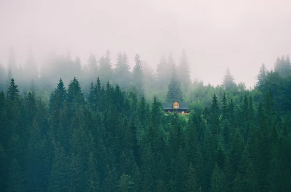 Malý domek na zeleném svahu hory — Stock fotografie