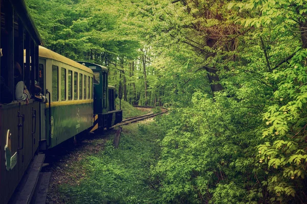 Огляд визначних пам'яток поїзда в місті Miskolc — стокове фото