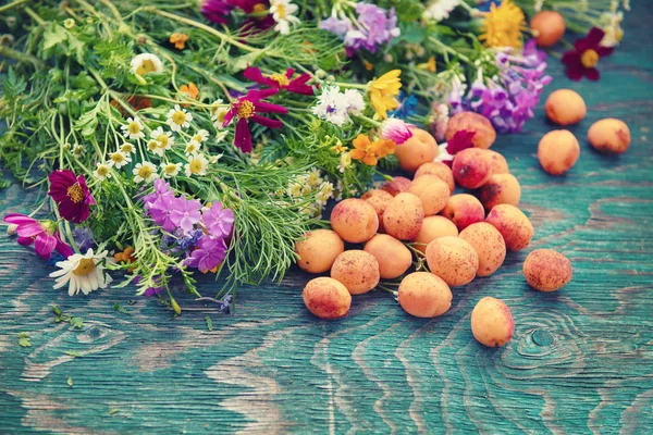 Apricot and flowers — Stock Photo, Image