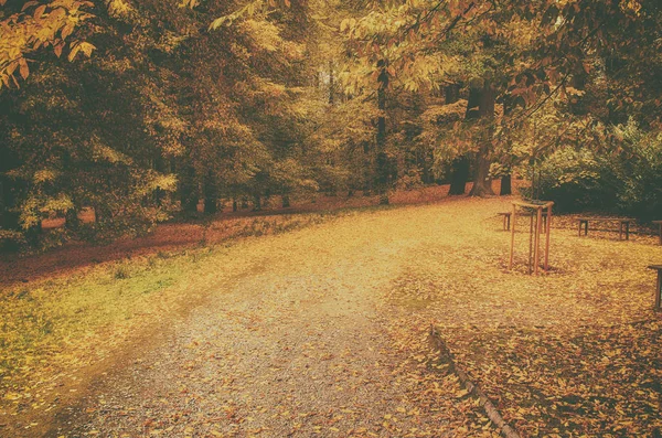 Parque soleado de otoño —  Fotos de Stock