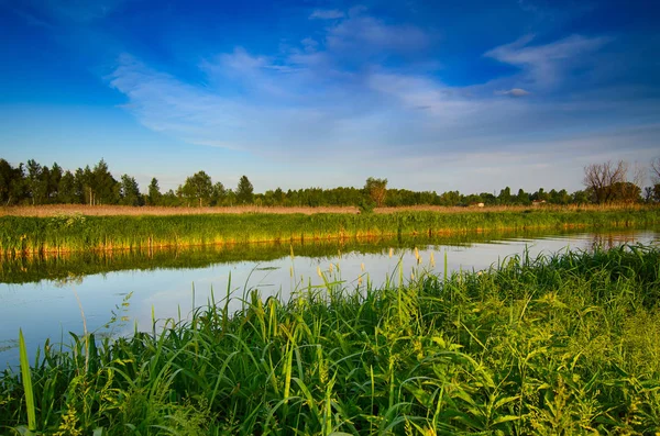 Sommersonnenuntergang auf dem Land — Stockfoto