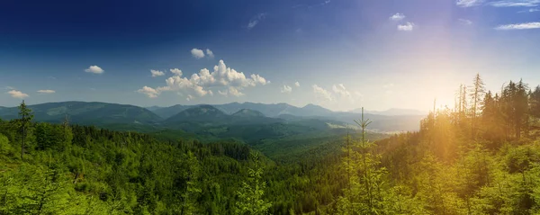 Paesaggio montano dei Carpazi — Foto Stock