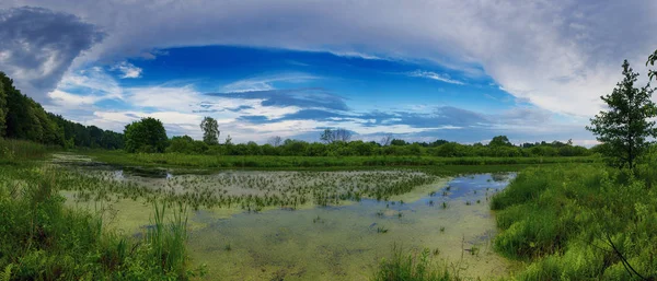 Linda paisagem de verão — Fotografia de Stock