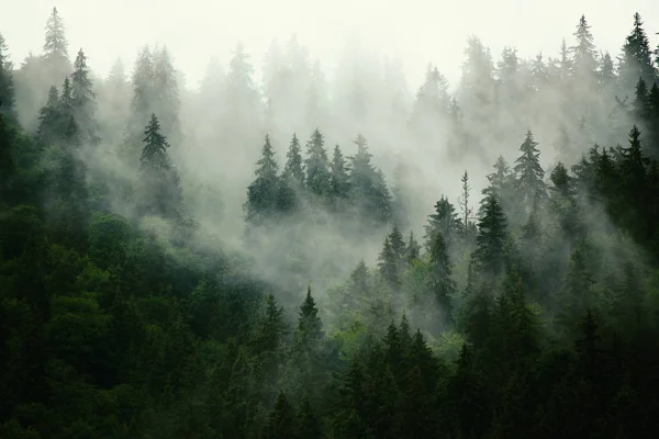 Misty mountain landscape — Stock Photo, Image