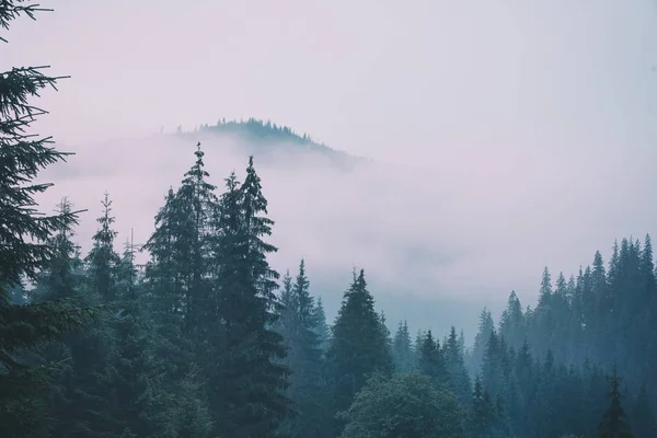 Nebelige Berglandschaft — Stockfoto