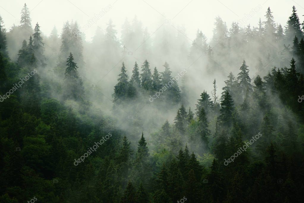 Misty mountain landscape