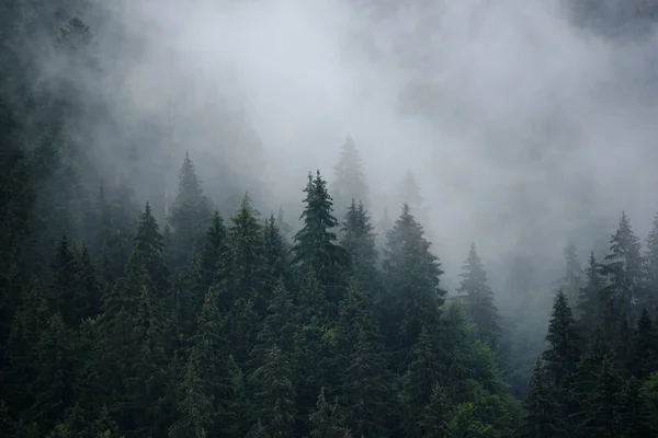 Туманний гірський ландшафт — стокове фото