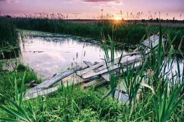kırsal yaz gündoğumu