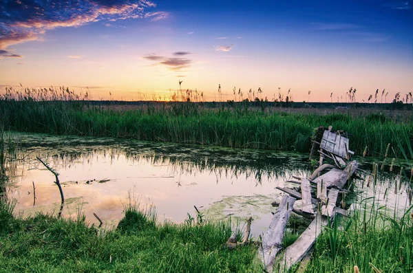 Kesän auringonnousu maaseudulla — kuvapankkivalokuva