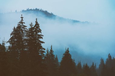 Sisli dağ manzarası