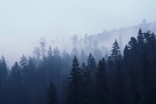 Misty paisaje de montaña —  Fotos de Stock