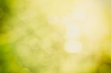 Doğal ışık bokeh