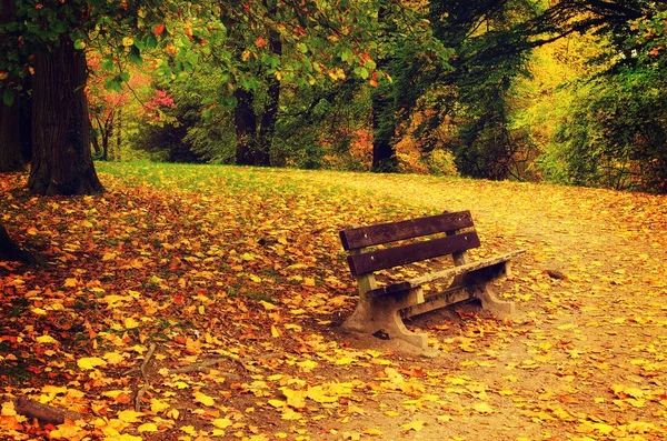 Parque soleado de otoño —  Fotos de Stock