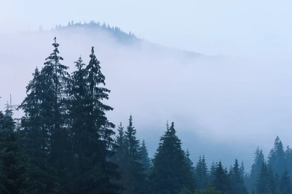 Mlhavá horská krajina — Stock fotografie