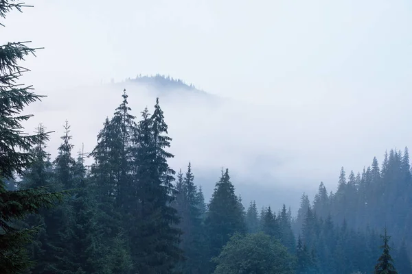 Mlhavá horská krajina — Stock fotografie