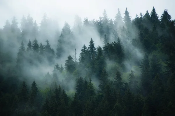 Misty berglandschap — Stockfoto